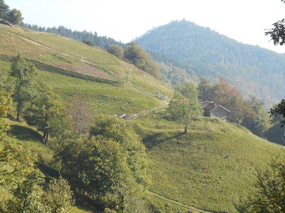 Agriturismo Fiorendo Pinerolo Exteriör bild