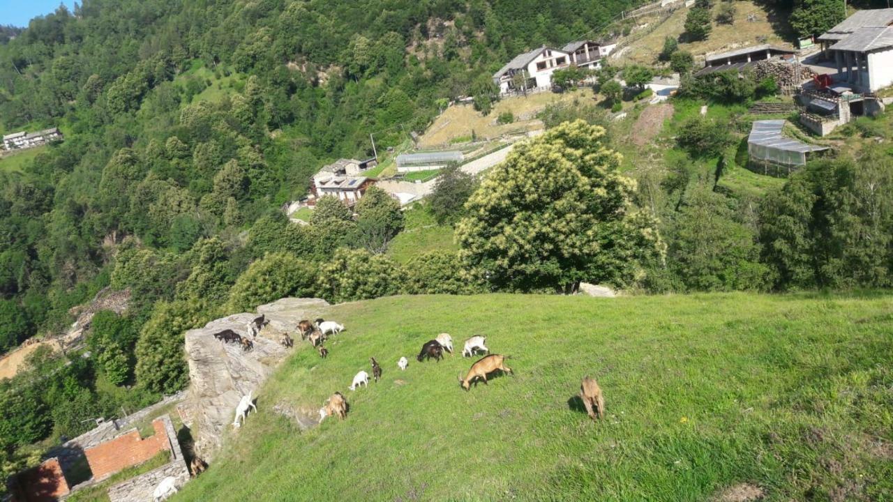 Agriturismo Fiorendo Pinerolo Exteriör bild